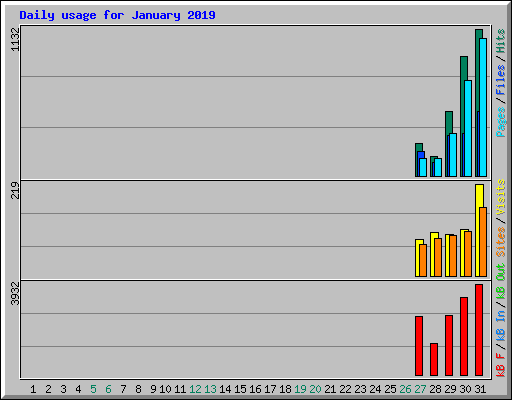 Daily usage for January 2019